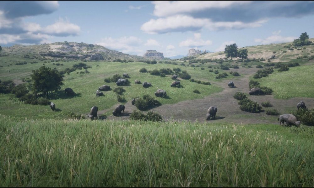 Cruelty Sikker Emigrere Bison Locations – Red Dead Redemption 2 - The Gamer HQ - The Real Gaming  Headquarters