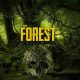 The Forest Full Version Free Download