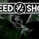 Weed Shop 2 iOS/APK Full Version Free Download