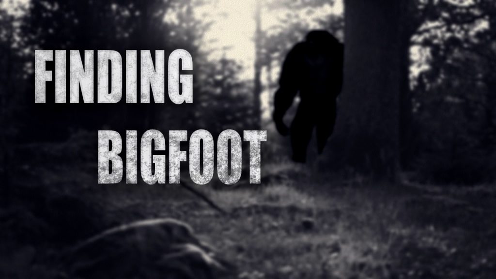 Finding Bigfoot iOS/APK Full Version Free Download