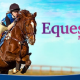 Equestrian Training PC Game Download For Free