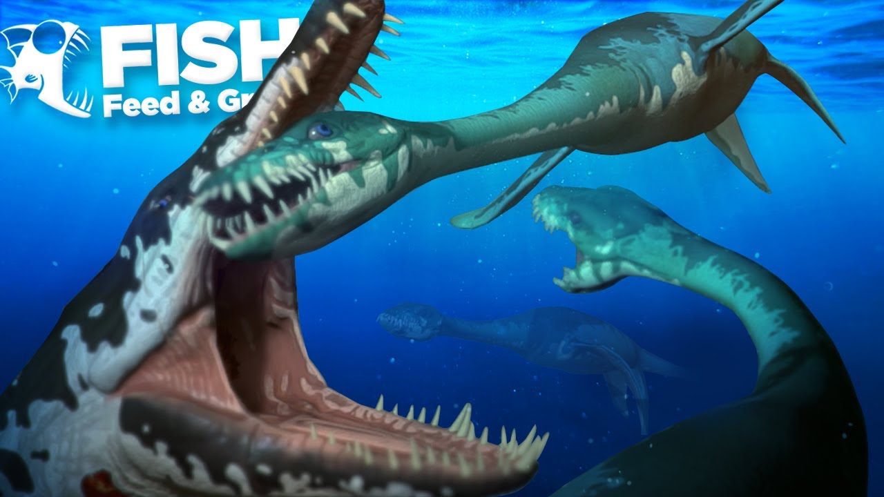 Feed And Grow Fish Download Full Game PC - Gaming Beasts