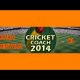 Cricket Coach 2014 Game Download