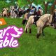 Star Stable Codes For Star Coins (August 2022)