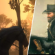 Arthur's last ride on the road in Red Dead Redemption 2