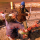 State Of Decay: Year One Survival Edition Free Download PC (Full Version)