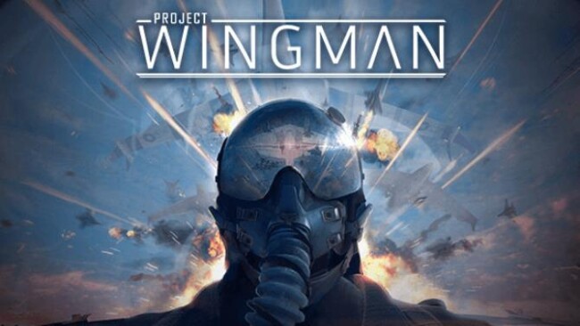 Project Wingman IOS & APK Download 2024