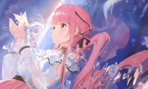 Infinity Nikki Fans