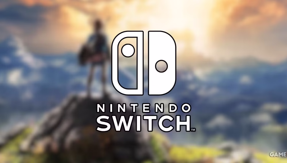 Nintendo May Brick