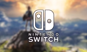 Nintendo May Brick